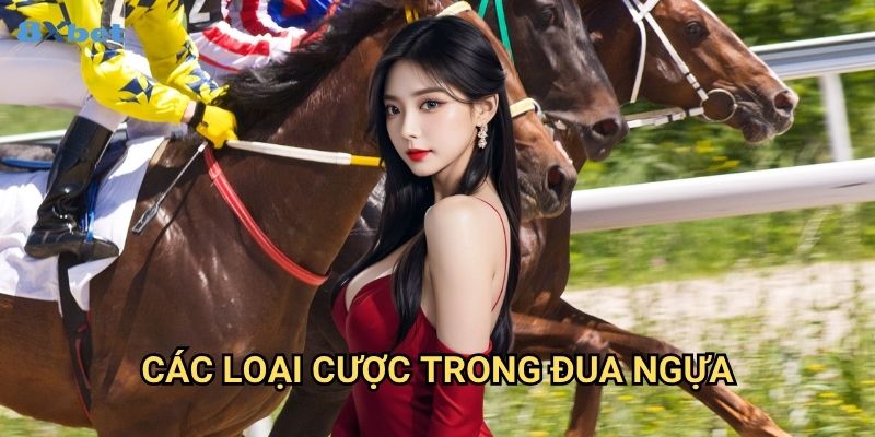 Cá cược đua ngựa 8xbet - Hướng Dẫn Từ A Đến Z Cho Người Mới 2 Các Loại Cược Trong Đua Ngựa