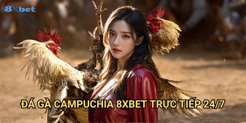 Đá gà Campuchia 8xbet - Sân Chơi Đỉnh Cao Cho Người Mê Trò Chơi Truyền Thống 3 Đá gà Campuchia 8xbet Trực Tiếp 24/7