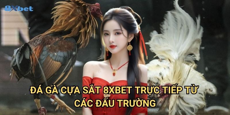 Đá gà cựa sắt 8xbet - Khám Phá Hình Thức Đấu Gà Mạo Hiểm Nhất 3 Đá gà cựa sắt 8xbet Trực Tiếp Từ Các Đấu Trường