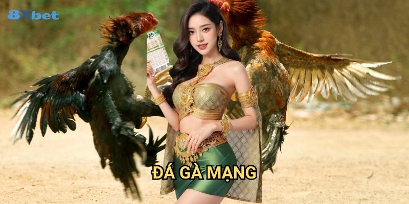 Đá gà mạng 8xbet - Đấu Trường Ảo Với Trải Nghiệm Thực Tế Nhất 1 Đá gà mạng 8xbet - Đấu Trường Ảo Với Trải Nghiệm Thực Tế Nhất