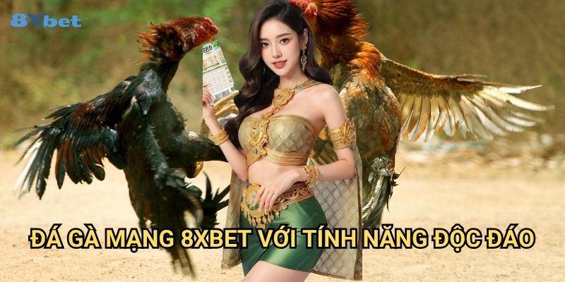 Đá gà mạng 8xbet - Đấu Trường Ảo Với Trải Nghiệm Thực Tế Nhất 3 Đá gà mạng 8xbet Với Tính Năng Độc Đáo