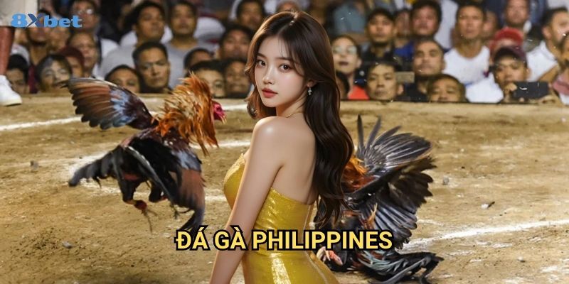 Đá gà Philippines 8xbet - Khám Phá Đấu Trường Sabong Chuyên Nghiệp 1 Đá gà Philippines 8xbet - Khám Phá Đấu Trường Sabong Chuyên Nghiệp