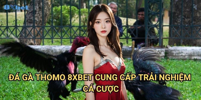 Đá gà Thomo 8xbet - Trực Tiếp Đấu Trường Gà Nổi Tiếng Biên Giới 3 Đá gà Thomo 8xbet Cung Cấp Trải Nghiệm Cá Cược