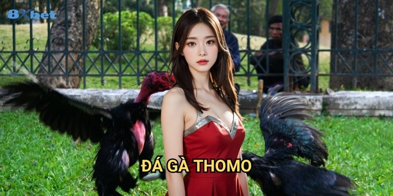 Đá gà Thomo 8xbet - Trực Tiếp Đấu Trường Gà Nổi Tiếng Biên Giới 1 Đá gà Thomo 8xbet - Trực Tiếp Đấu Trường Gà Nổi Tiếng Biên Giới