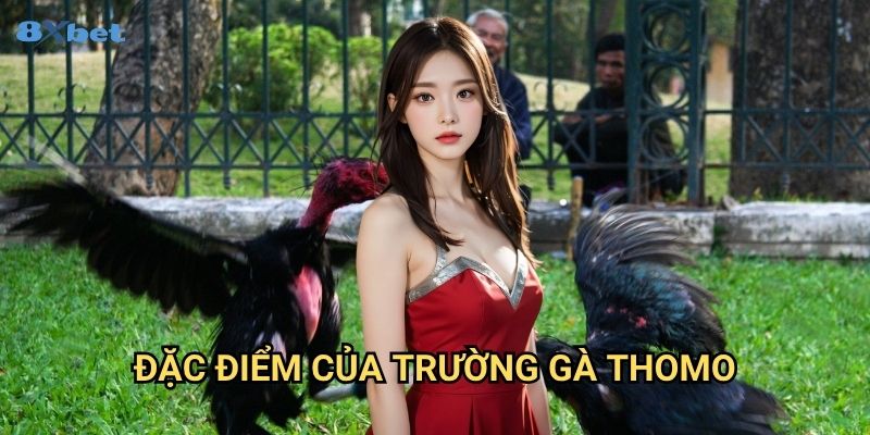 Đá gà Thomo 8xbet - Trực Tiếp Đấu Trường Gà Nổi Tiếng Biên Giới 2 Đặc Điểm Của Trường Gà Thomo