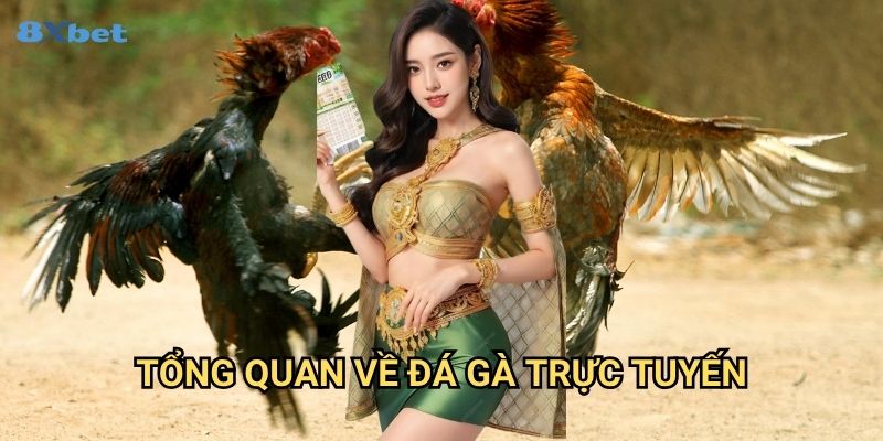 Đá gà mạng 8xbet - Đấu Trường Ảo Với Trải Nghiệm Thực Tế Nhất 2 Tổng Quan Về Đá Gà Trực Tuyến