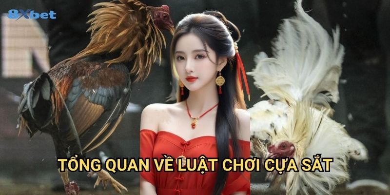 Đá gà cựa sắt 8xbet - Khám Phá Hình Thức Đấu Gà Mạo Hiểm Nhất 2 Tổng Quan Về Luật Chơi Cựa Sắt
