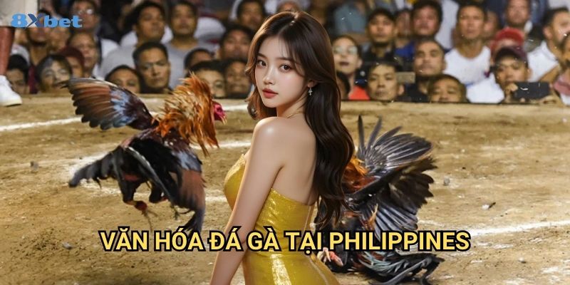 Đá gà Philippines 8xbet - Khám Phá Đấu Trường Sabong Chuyên Nghiệp 2 Văn Hóa Đá Gà Tại Philippines