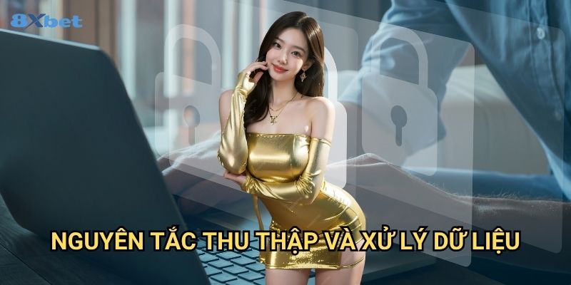 Chính sách bảo mật 8xbet - Bảo Vệ Thông Tin Người Chơi Tối Ưu 1 Nguyên Tắc Thu Thập Và Xử Lý Dữ Liệu